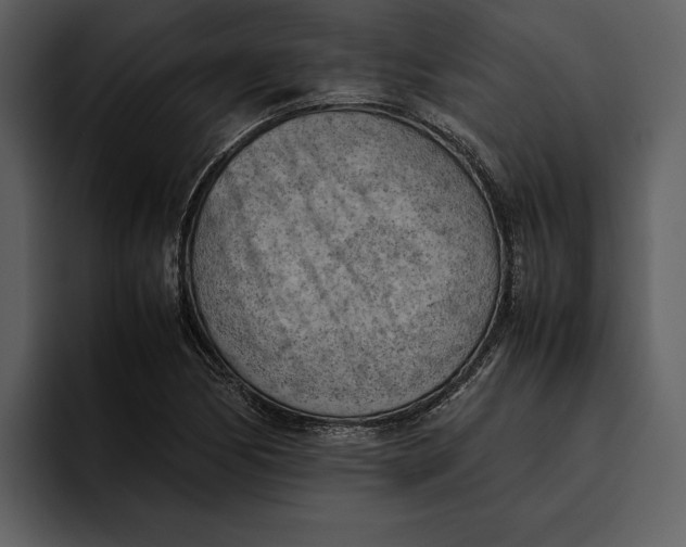 X0000095691170200801291211