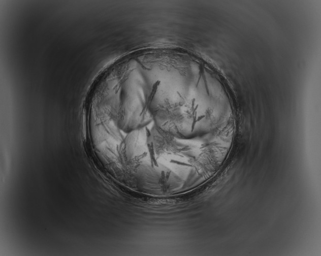 X0000095691171200801291211