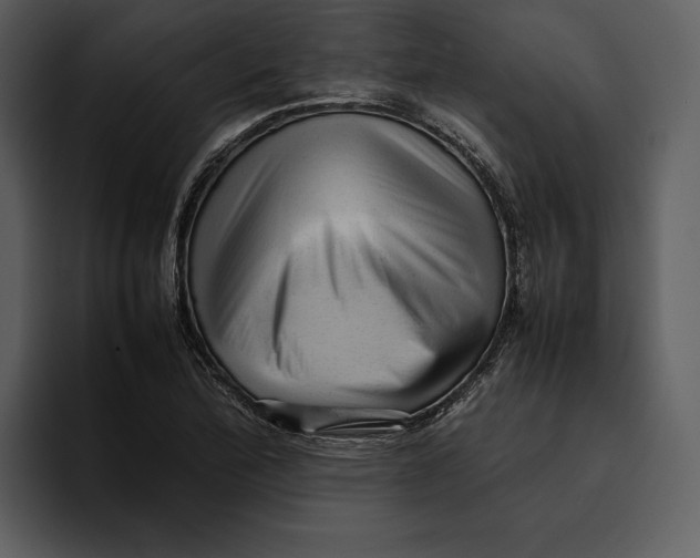 X0000095691172200801291211