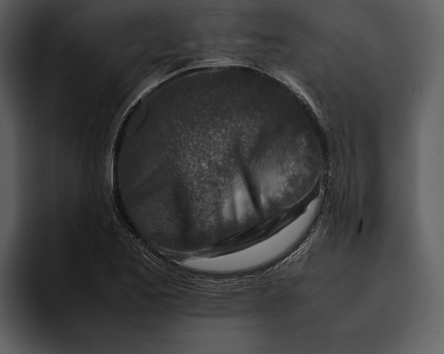 X0000095691173200801291211