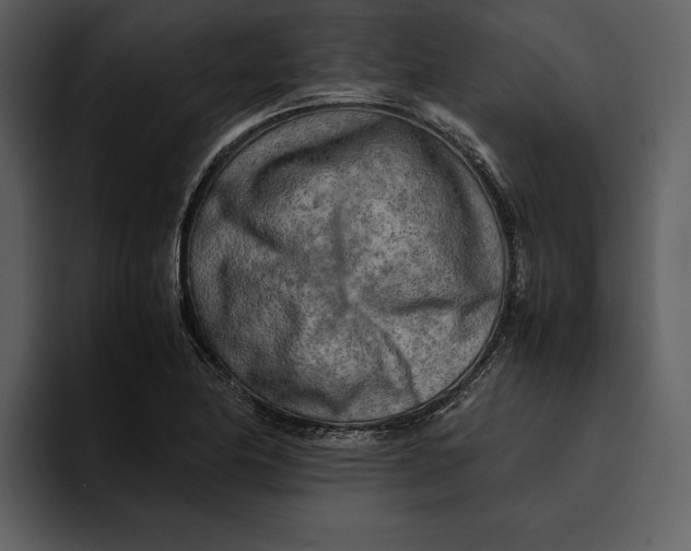 X0000095691174200801291211