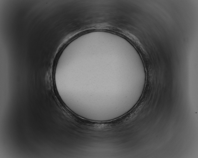 X0000095691176200801291211