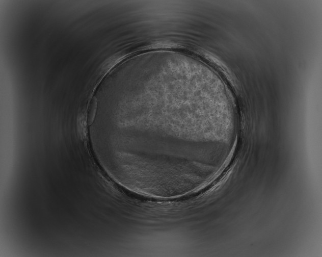 X0000095691177200801291211