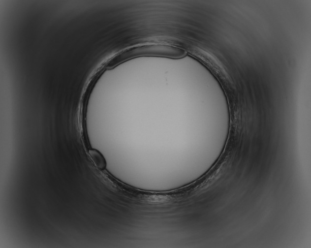 X0000095691180200801291211