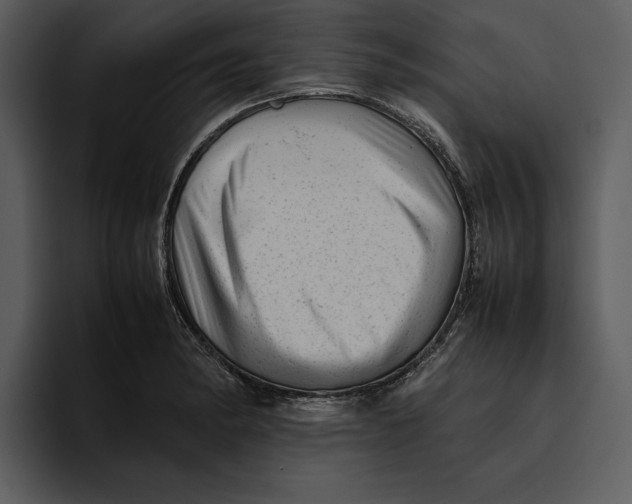 X0000095691182200801291211