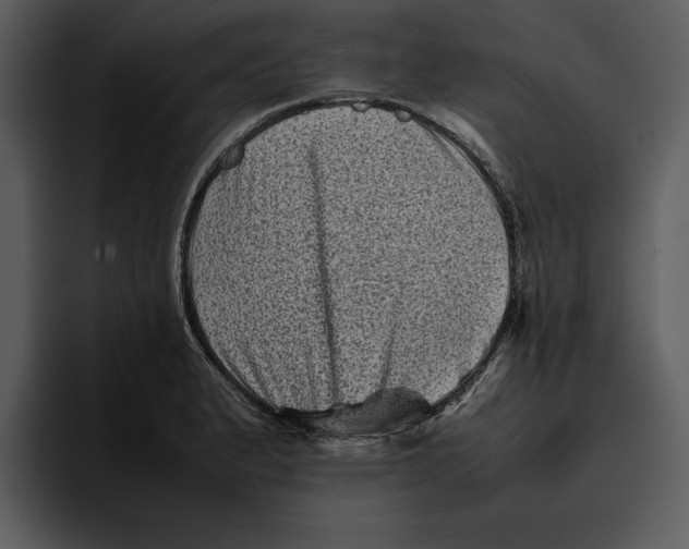 X0000095691183200801291211