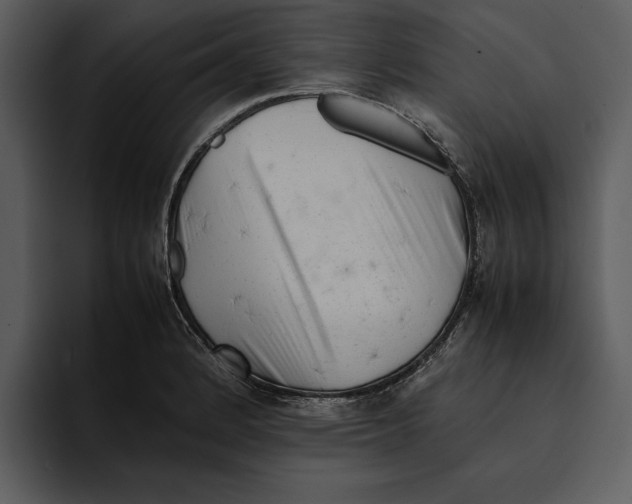 X0000095691184200801291211