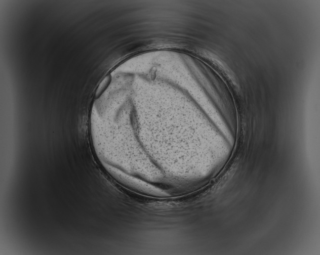 X0000095691185200801291211