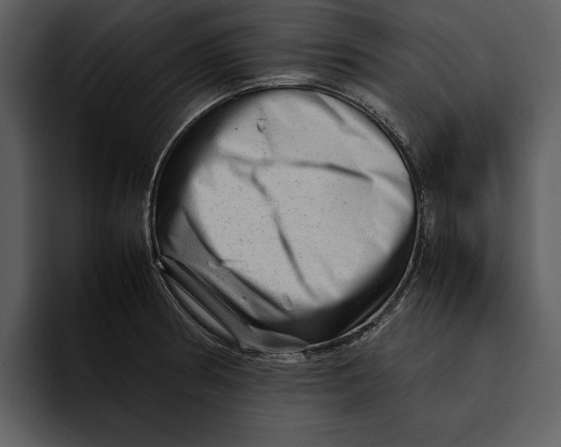 X0000095691186200801291211