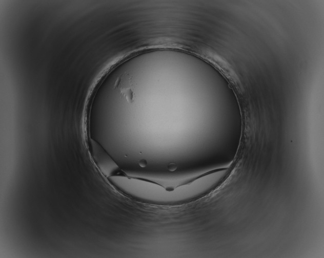 X0000095691188200801291211