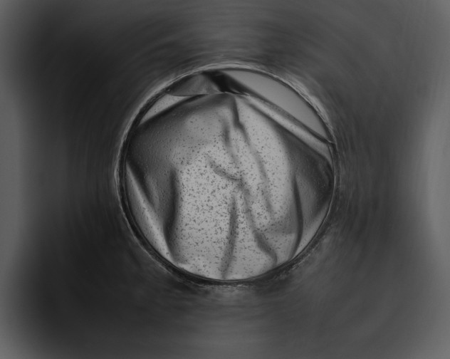 X0000095691189200801291211