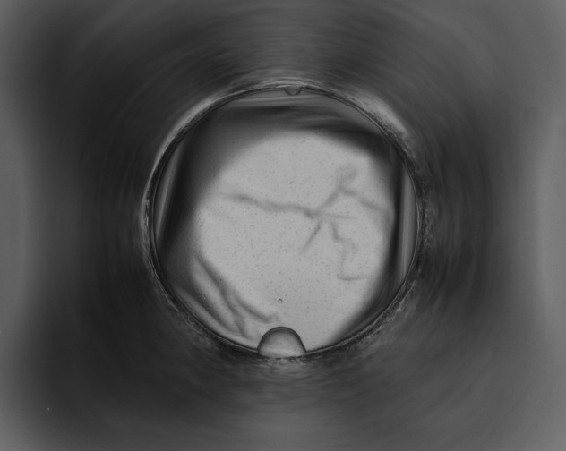 X0000095691190200801291211