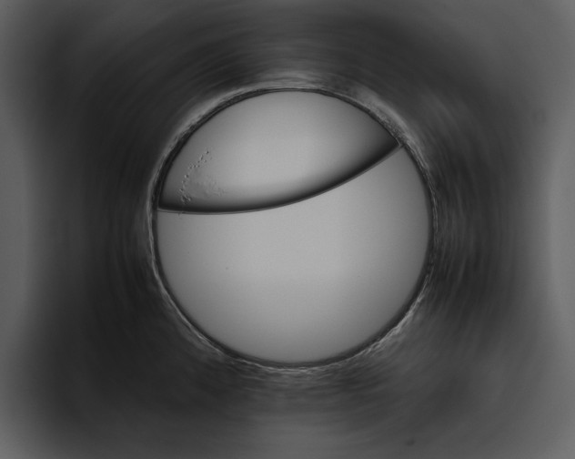 X0000095691192200801291211