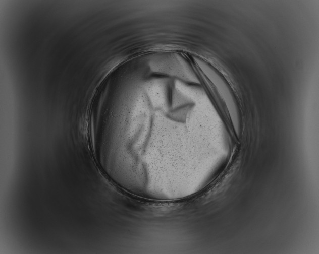 X0000095691193200801291211