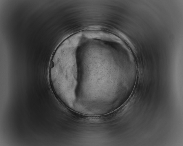 X0000095691194200801291211