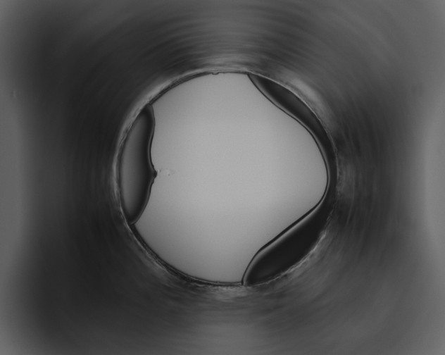 X0000095691196200801291211