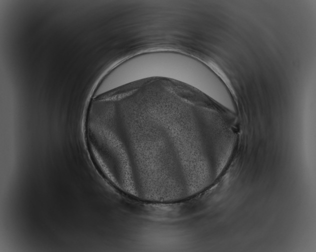 X0000095691197200801291211