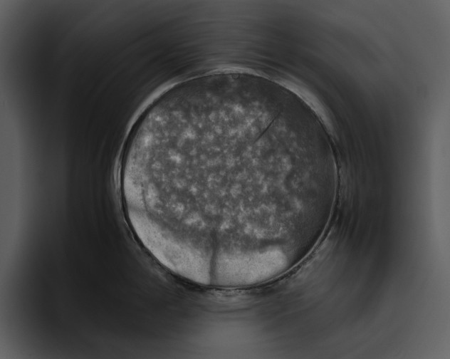 X0000095691198200801291211