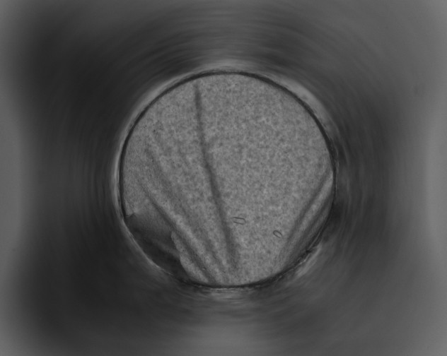 X0000095691199200801291211