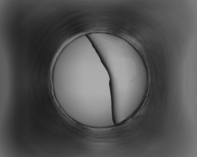 X0000095691200200801291211