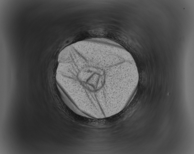 X0000095691201200801291210