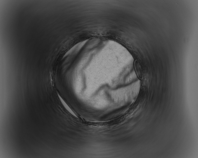 X0000095691202200801291210