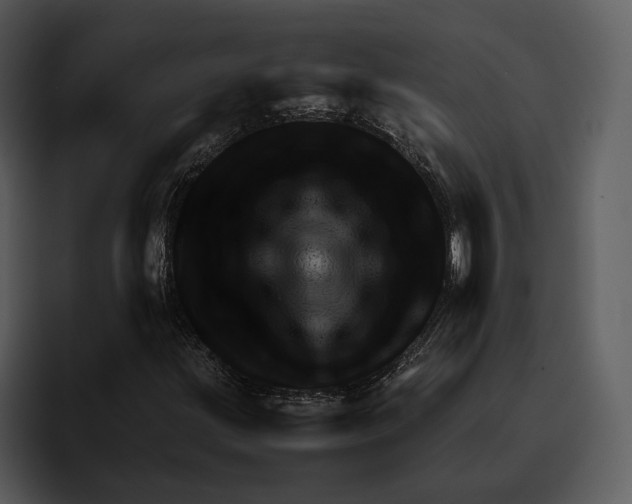 X0000095691203200801291210