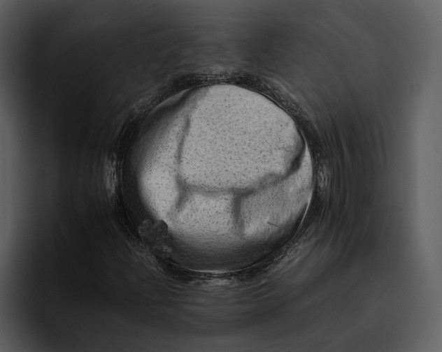 X0000095691204200801291210