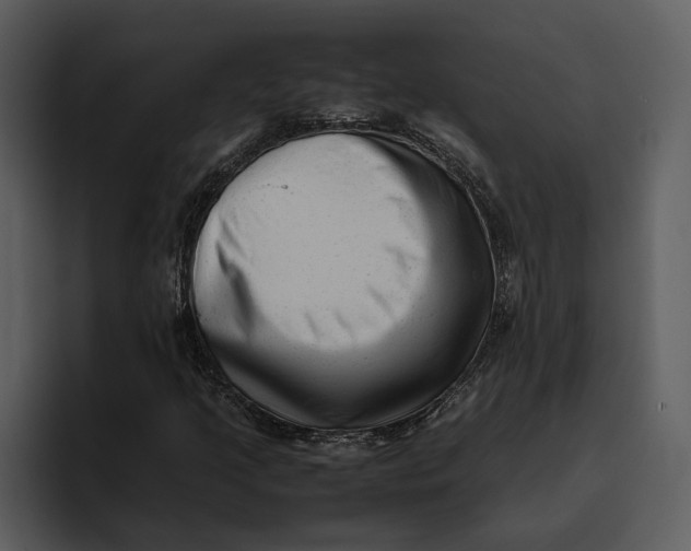 X0000095691205200801291210