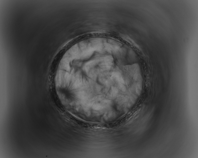 X0000095691208200801291210