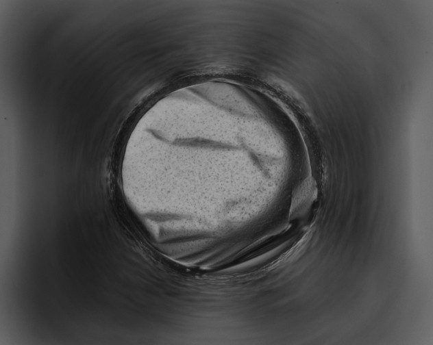 X0000095691210200801291210