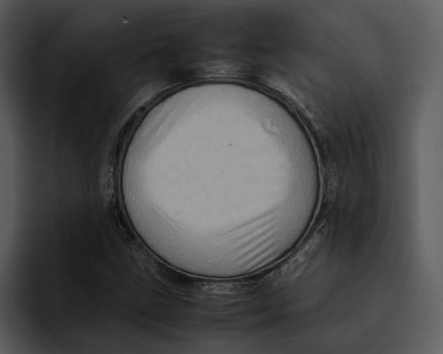 X0000095691211200801291210