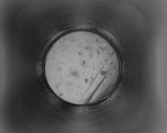 X0000095691212200801291210