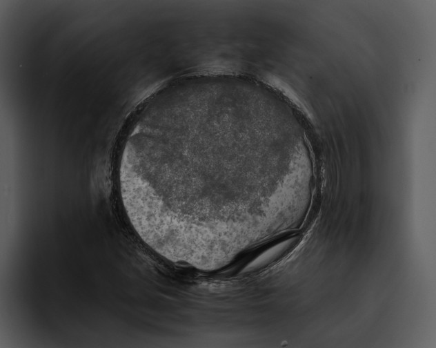 X0000095691213200801291210