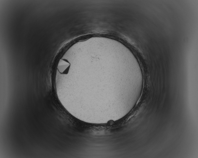 X0000095691214200801291210