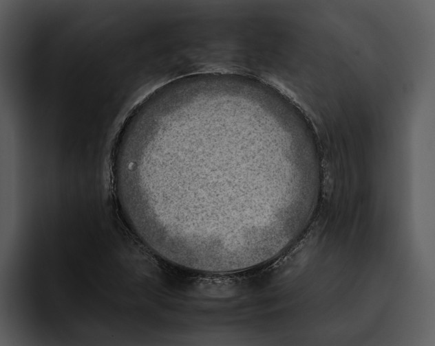 X0000095691215200801291210