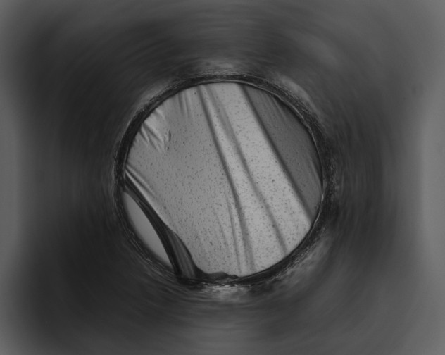 X0000095691218200801291210