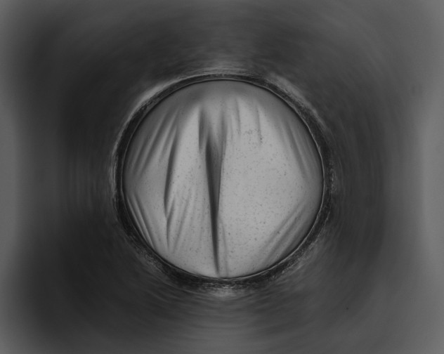 X0000095691222200801291210