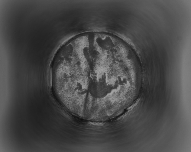 X0000095691223200801291210