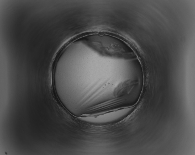 X0000095691224200801291210