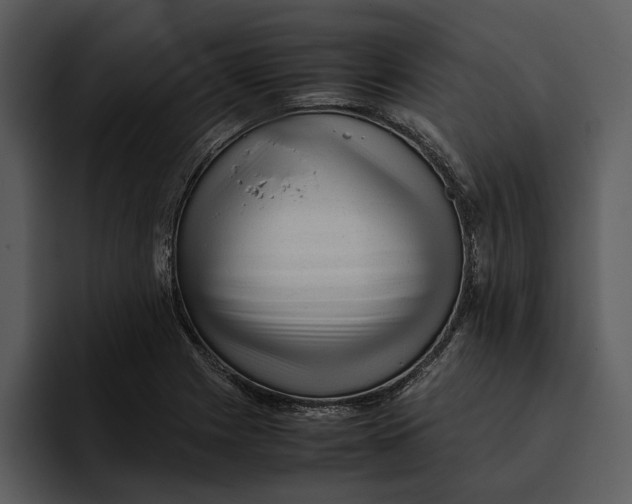 X0000095691225200801291210