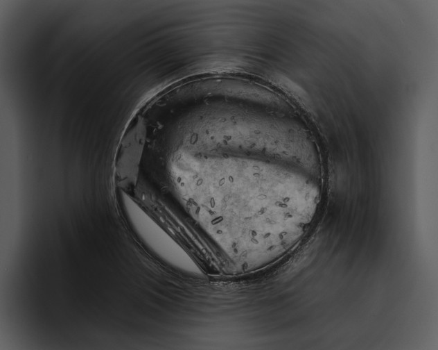 X0000095691226200801291210