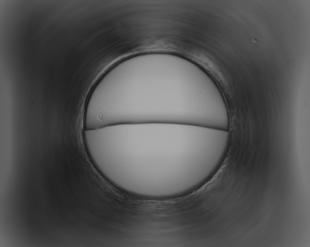 X0000095691228200801291210