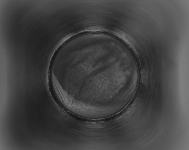 X0000095691229200801291210