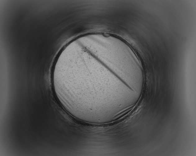 X0000095691230200801291210