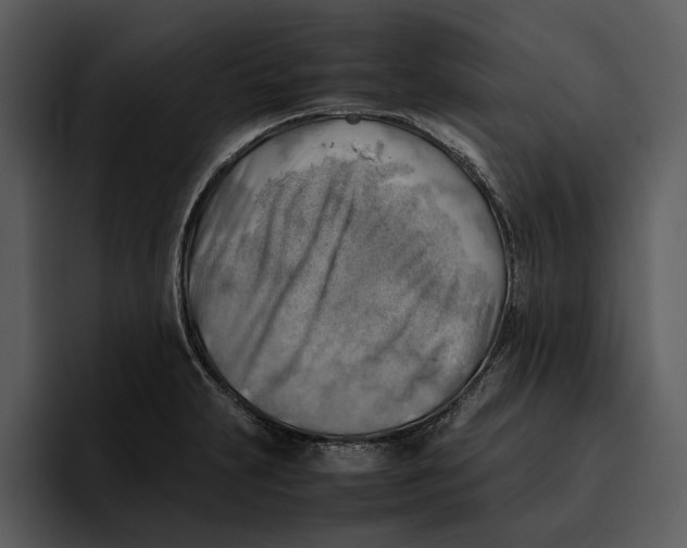 X0000095691231200801291210