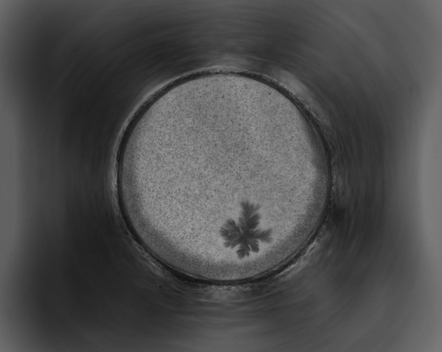 X0000095691232200801291210