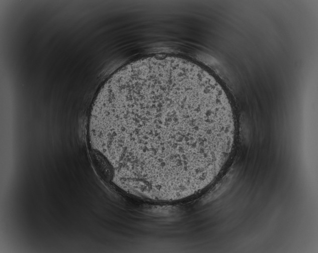 X0000095691233200801291210