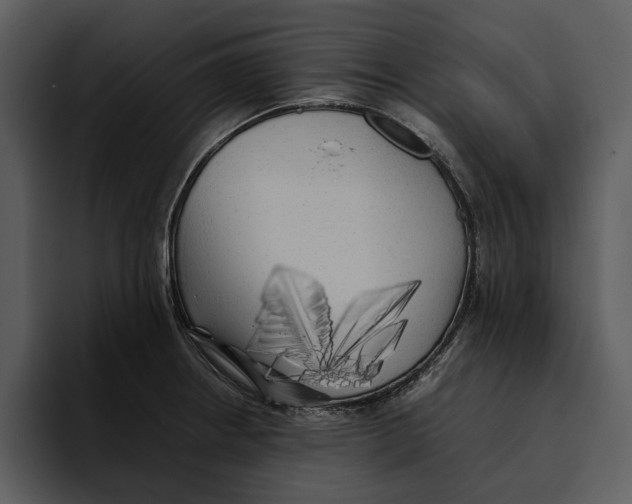 X0000095691234200801291210