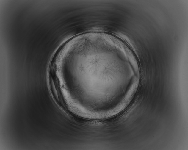 X0000095691235200801291211